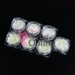 Paiete Fosforescente pentru decor unghii YP01 Combinate